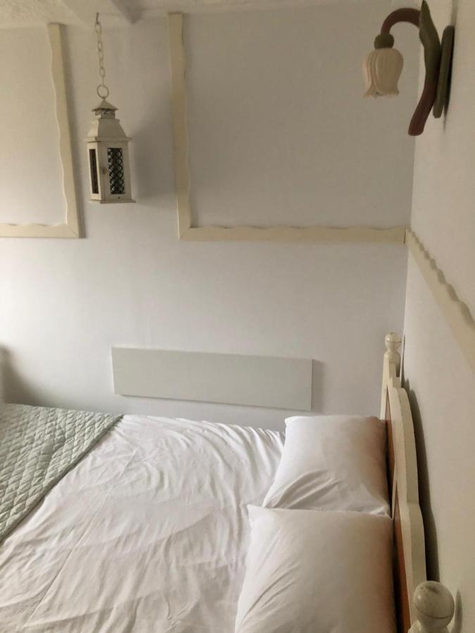 Vila Horia Bradet 사셀레 외부 사진